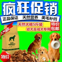 平陽意而思寵物用品廠 專業打造優質寵物項圈與配件